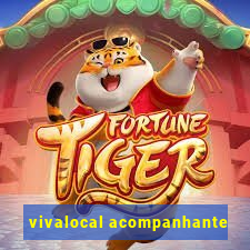 vivalocal acompanhante